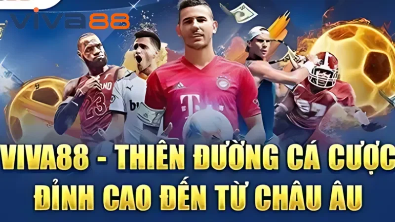 Lưu ý người chơi cần nắm trong quá trình đăng nhập Viva88